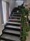 imagine