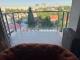 imagine